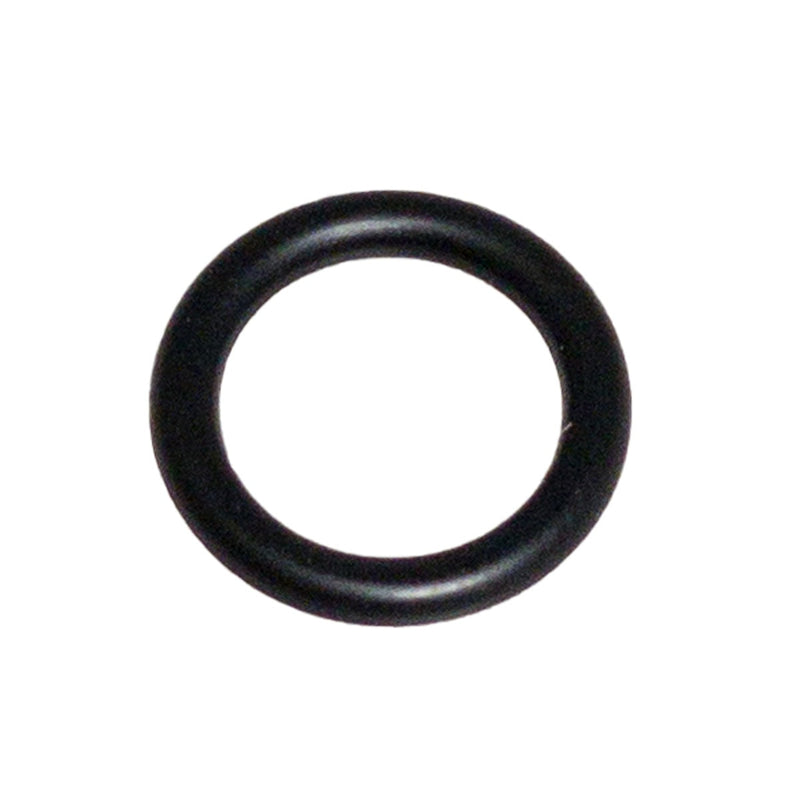 Viton Boiler Plug O-Ring